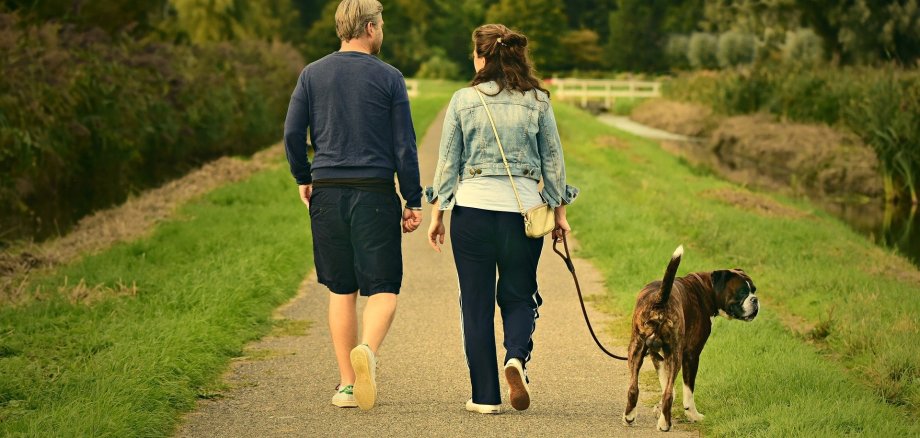 Mann und Frau in Rückansicht, die mit angeleintem Hund spazieren gehen